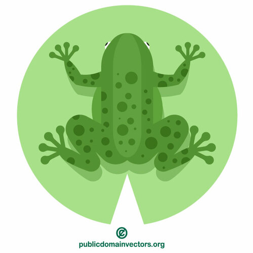 Image clipart de grenouille verte