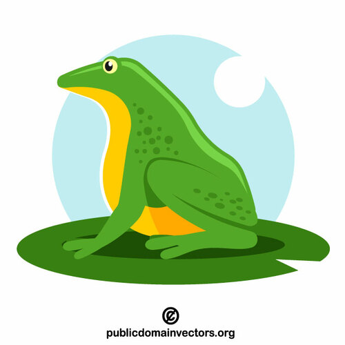 Green frog profile | Public domain vectors