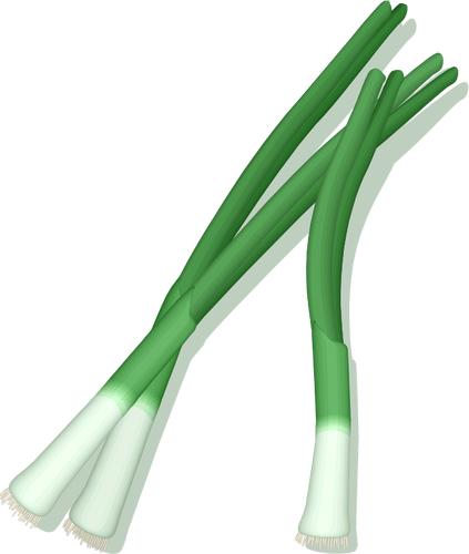 Зеленый лук