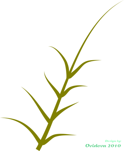 Vector graphics of green plant growing to the side