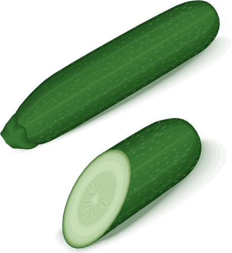 Grön zucchini