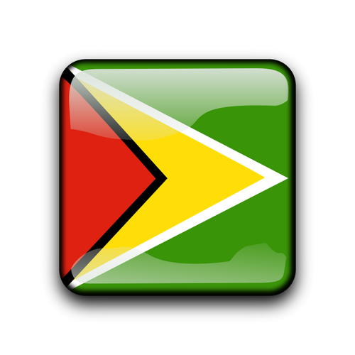 Botão de bandeira da Guiana
