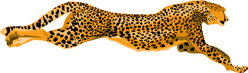 Leopard, gepard vektorový obrázek