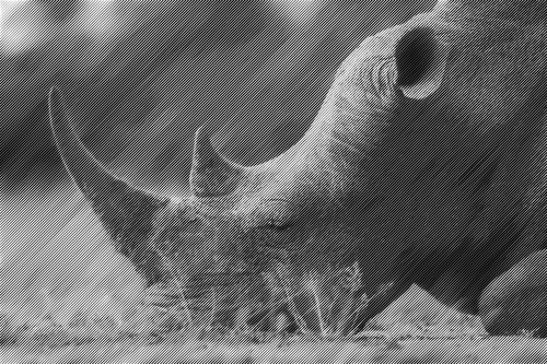 Полутоновый носорог
