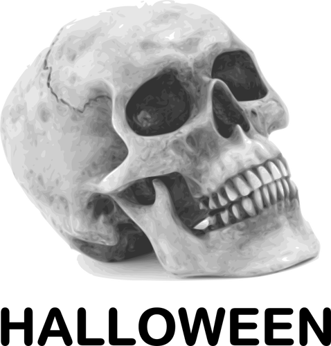 Halloween skull vector image