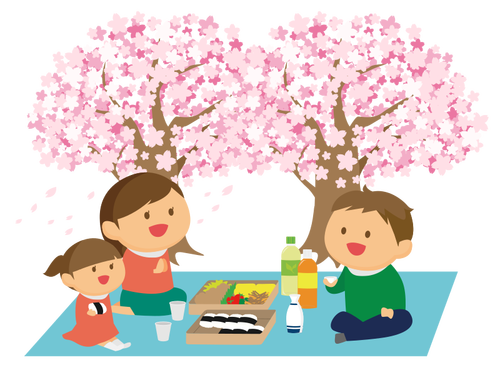 Piknik med kirsebærtre blomstrer