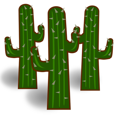 Drei Kaktus