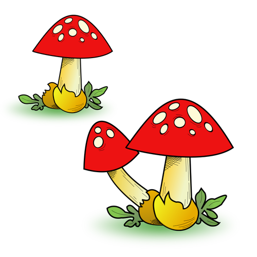 Giftiga svampar färg art