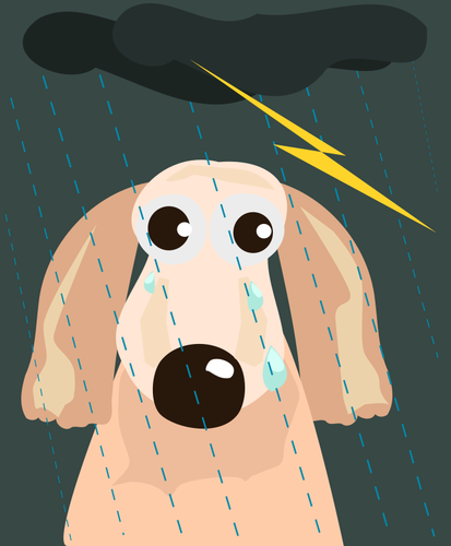 Câine trist în ploaie