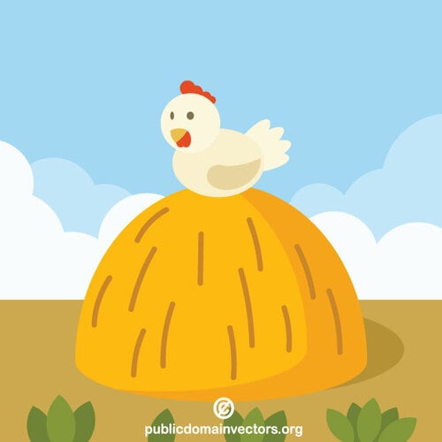 Hen sitting on haystack