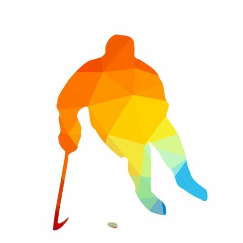 Hockey player color silhouette