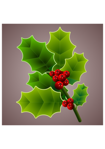 Holly branch image