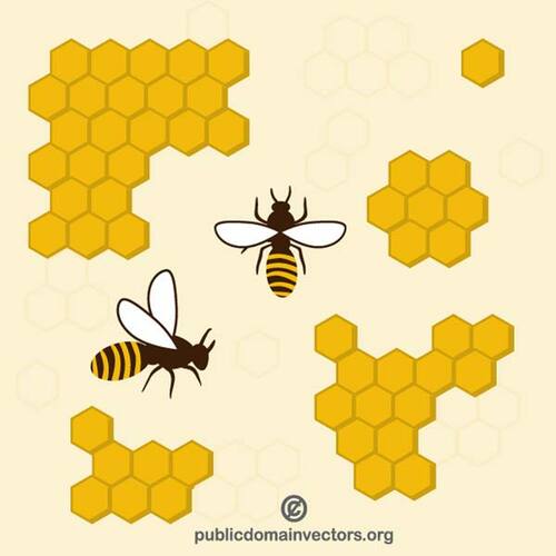 Мед пчелы