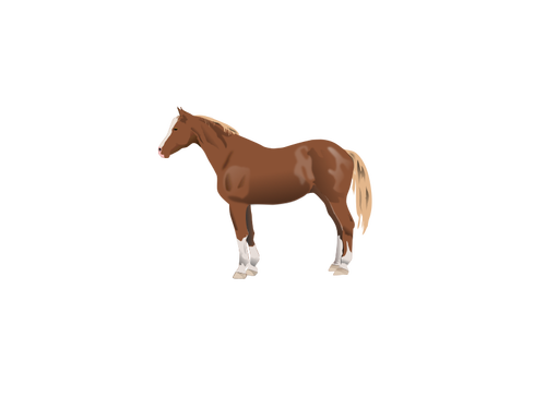 Brun häst
