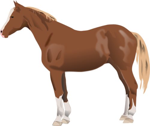 Vector illustration of horse standing