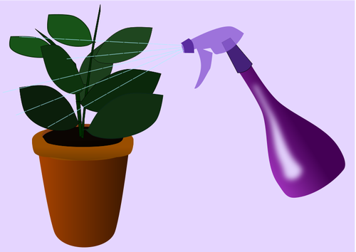 Caring for Houseplants