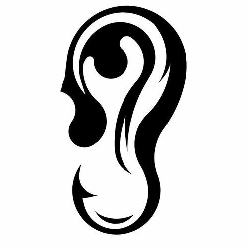 人間の耳