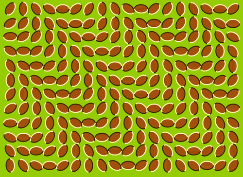 Bilden av kaffebönor bildar en optisk illusion