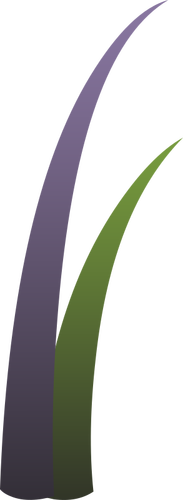 Vektoripiirros violetista ja vihreästä llmenskie-kasvista