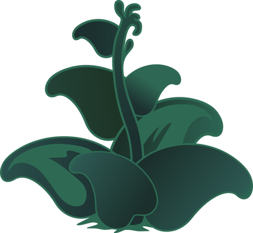 Vector clip art of dark green zutto plant