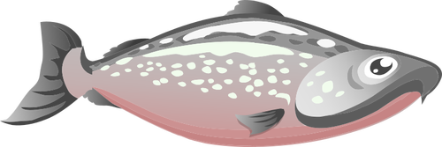 Immagine di salmone