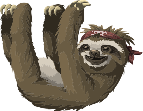 Sloth bilde