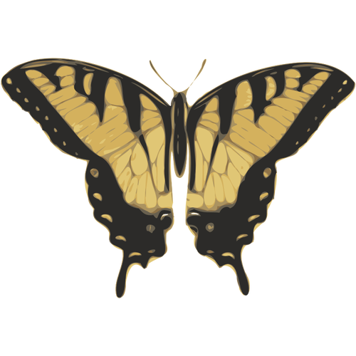 Immagine vettoriale di farfalla modello tigre