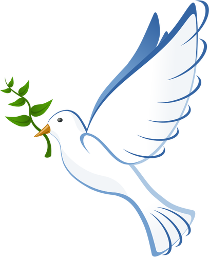 Dove vector illustration