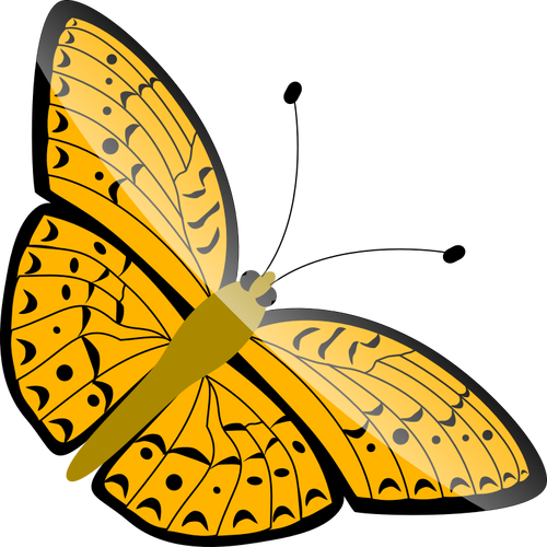 Vector illustration of orange flying butterfly