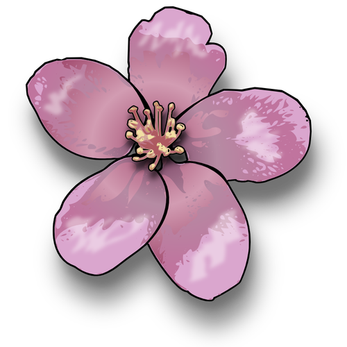 Apple blossom wektor clipart