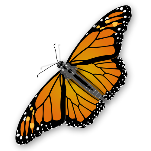 Grafika wektorowa wypryskami motyl