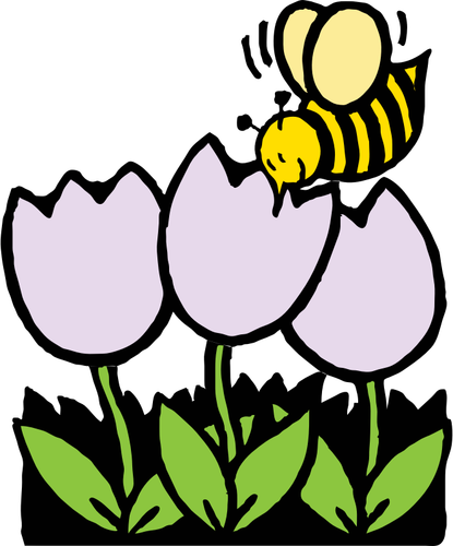 דבורה ופרחים