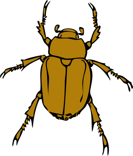 Chafer bug