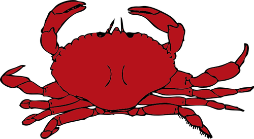 Grafică vectorială de rosii crab
