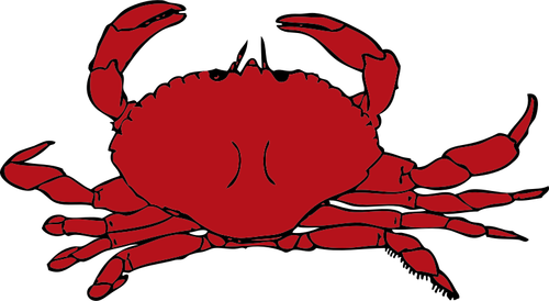 Vector graphics of red crab