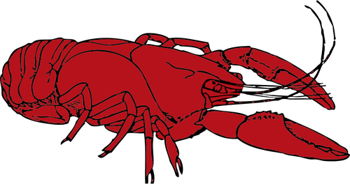 Red crayfish vector clip art