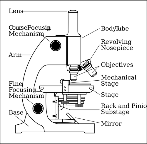 Vector de lado microscopio dibujo con partes etiquetadas