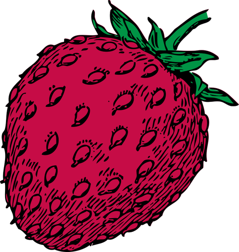 矢量绘图的红草莓果实