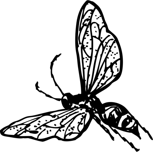 Ilustraţia vectorială de viespe