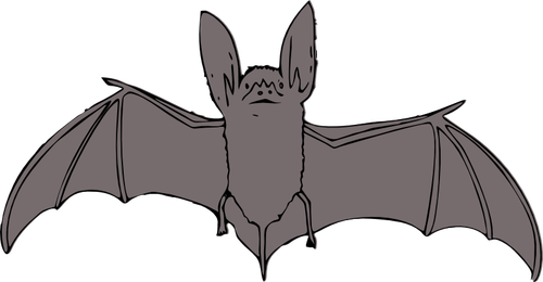 Bat with open wings vector drawing