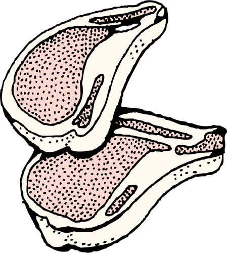 Carne trita di grafica vettoriale