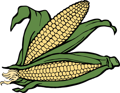 Dvě uši kukuřice vektorové ilustrace