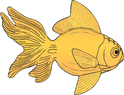 Generic orange fish vector illustration