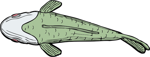 Ilustração em vetor vista superior de peixe feio