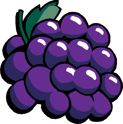 Black grapes vector clip art