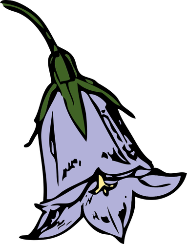 ClipArt vettoriali di fiore harebell