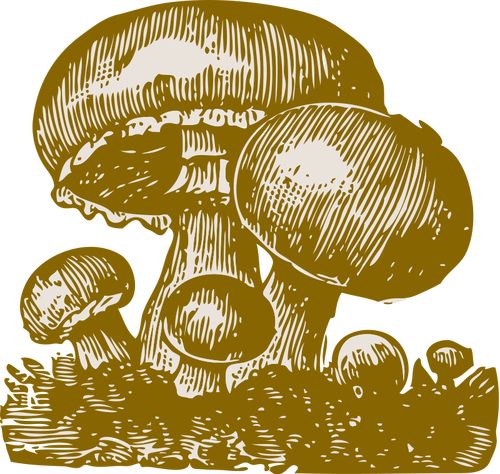 Imagem vetorial de cogumelos