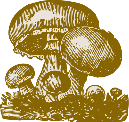 Paddestoelen vector afbeelding