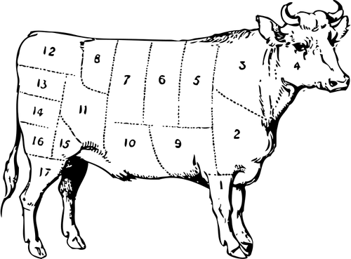 Ox vlees delen vector diagram