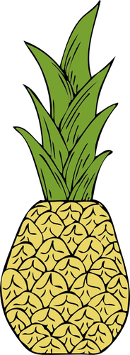 パイナップルのベクトル描画